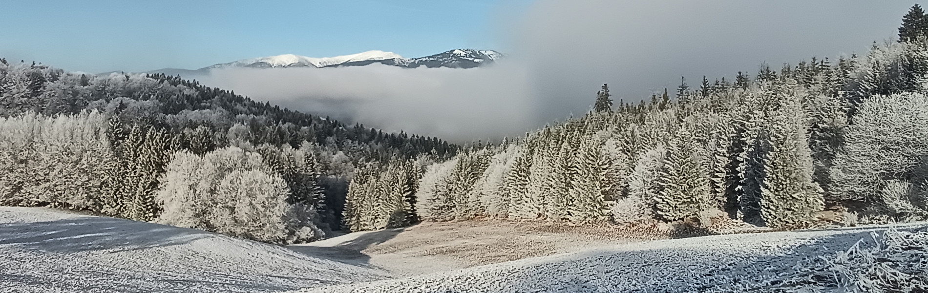 Mýto pod Ďumbierom